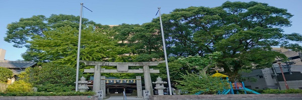 大野城市で格安の不用品回収の業者は「まごころ片付け福岡」